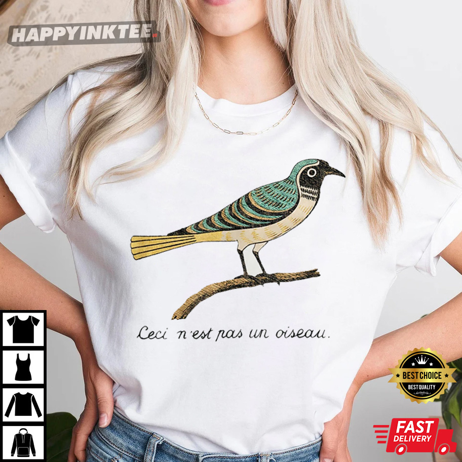 Birds Aren’t Real France T-shirt