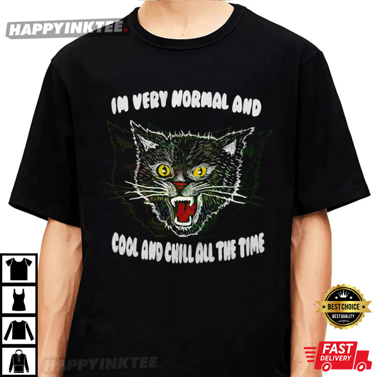 I’m Very Normal And Cool And Chill All The Time T-shirt